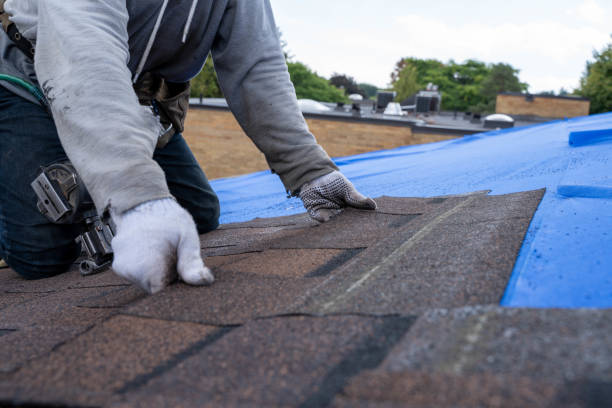 Best Roof Maintenance Services  in Waterville, OH