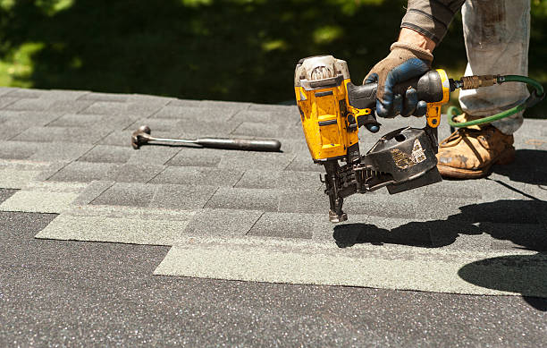 Best Roof Gutter Cleaning  in Waterville, OH