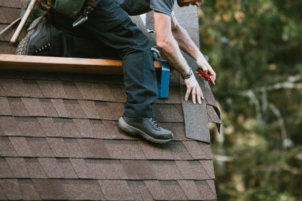 Best Storm Damage Roof Repair  in Waterville, OH