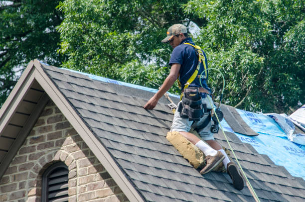 Best Flat Roof Repair Services  in Waterville, OH